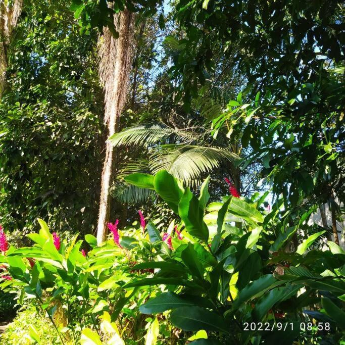 Castelinho Do Felix Guaruja Pernambuco Villa ภายนอก รูปภาพ